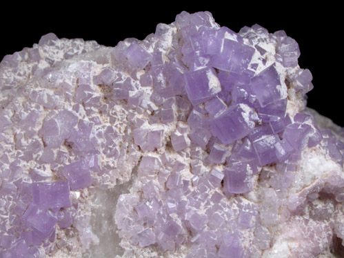 Fluorapatite on Albite from Laghman Province, Afghanistan