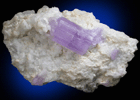 Fluorapatite on Albite from Laghman Province, Afghanistan