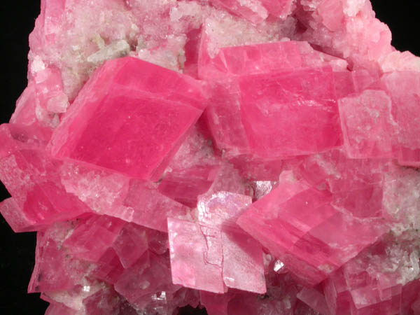 Rhodochrosite on Quartz from Sweet Home Mine, Buckskin Gulch, Alma District, Park County, Colorado