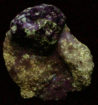 Lazurite var. Lapis Lazuli from Sar-e-sang, Kokscha Valley, Badakshan, Afghanistan (Type Locality for Lazurite)