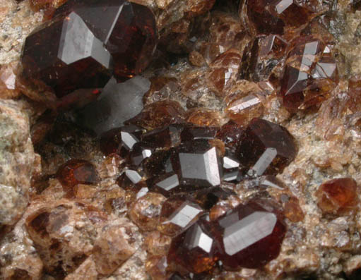 Grossular Garnet from Coyote Front Range, near Bishop, Inyo County, California