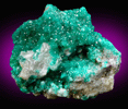 Dioptase from Tsumeb Mine, Otavi-Bergland District, Oshikoto, Namibia