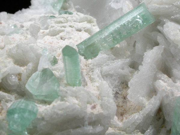 Elbaite Tourmaline on Albite var. Cleavelandite from Laghman Province, Afghanistan