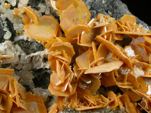 Wulfenite from Bad Bleiberg, Carinthia, Austria (Type Locality for Wulfenite)