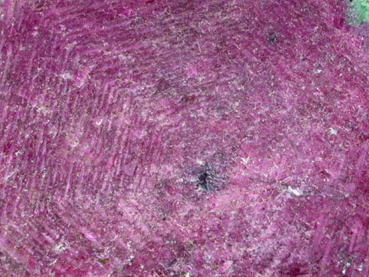 Corundum var. Ruby in Zoisite from Longido, Arusha, Tanzania