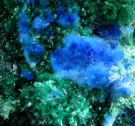 Cyanotrichite and Brochantite on Azurite from Grandview Mine, Coconino County, Arizona