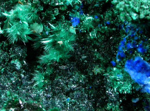 Cyanotrichite and Brochantite on Azurite from Grandview Mine, Coconino County, Arizona