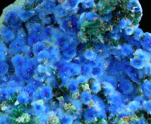 Cyanotrichite and Brochantite from Grandview Mine, Coconino County, Arizona