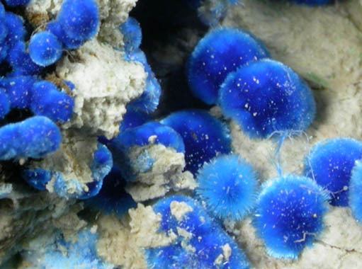 Cyanotrichite and Brochantite from Grandview Mine, Coconino County, Arizona