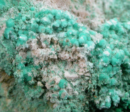 Grandviewite (IMA 2007-004) from Grandview Mine, Coconino County, Arizona (Type Locality for Grandviewite)