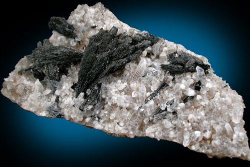 Schorl Tourmaline on Quartz from Agua Prieta, Sonora, Mexico