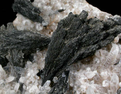 Schorl Tourmaline on Quartz from Agua Prieta, Sonora, Mexico