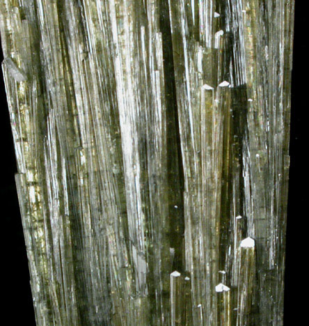 Elbaite Tourmaline from Toca da Ona Mine, Virgem de Lapa, Minas Gerais, Brazil