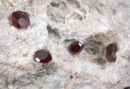 Spessartine Garnet on rhyolite from Ruby Mountain, Nathrop, Chaffee County, Colorado