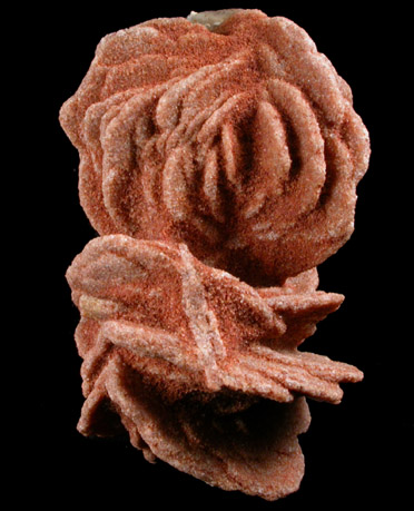 Barite var. Desert Rose from Garber Sandstone Formation, near Norman, Cleveland County, Oklahoma