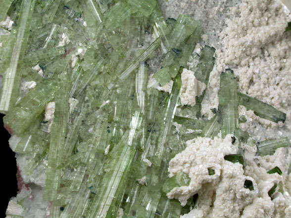 Elbaite Tourmaline with Cookeite on Albite from Mount Mica Quarry, Paris, Oxford County, Maine (Type Locality for Cookeite)