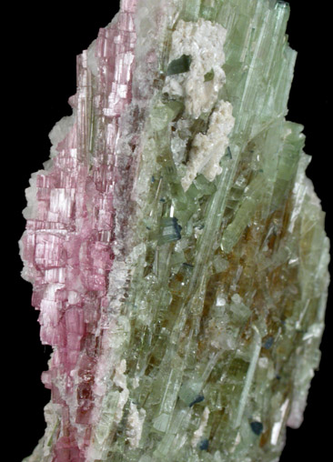 Elbaite Tourmaline on Albite from Mount Mica Quarry, Paris, Oxford County, Maine