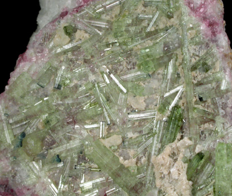 Elbaite Tourmaline on Albite from Mount Mica Quarry, Paris, Oxford County, Maine