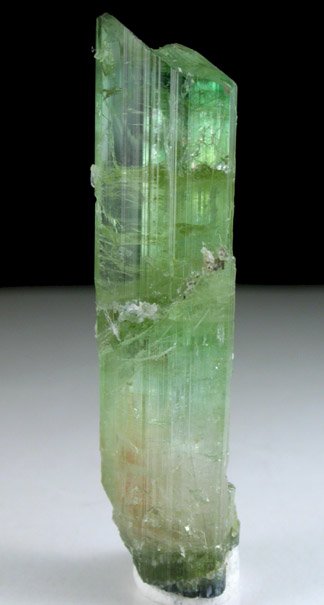 Elbaite Tourmaline with Cookeite from Mount Mica Quarry, Paris, Oxford County, Maine (Type Locality for Cookeite)