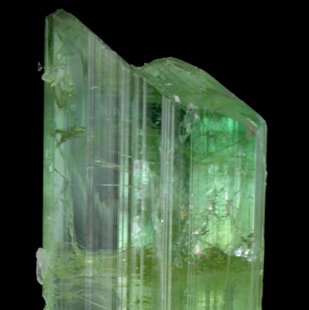 Elbaite Tourmaline with Cookeite from Mount Mica Quarry, Paris, Oxford County, Maine (Type Locality for Cookeite)