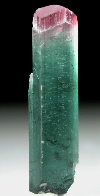 Elbaite Tourmaline from Mount Mica Quarry, Paris, Oxford County, Maine