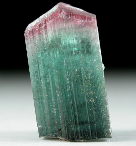 Elbaite Tourmaline from Mount Mica Quarry, Paris, Oxford County, Maine