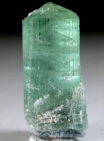 Elbaite Tourmaline with Cookeite from Mount Mica Quarry, Paris, Oxford County, Maine (Type Locality for Cookeite)