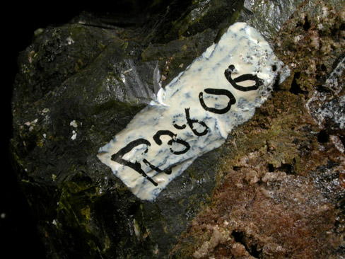 Epidote from Green Monster Mountain-Copper Mountain area, south of Sulzer, Prince of Wales Island, Alaska