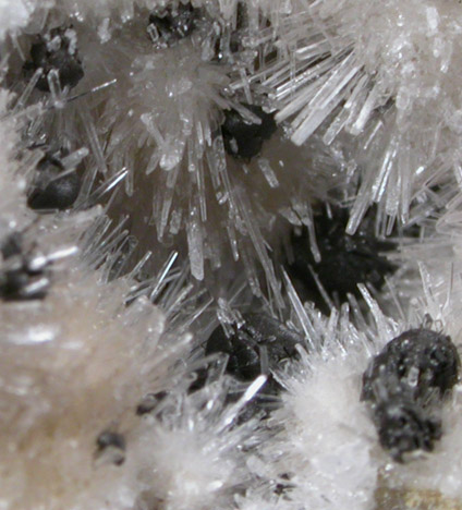 Kutnohorite and Aragonite from Levane, Val D'Arno, Tuscany, Italy