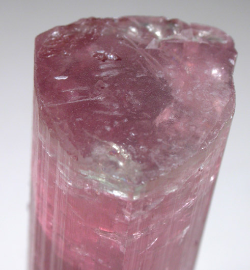 Elbaite var. Rubellite Tourmaline from Himalaya Mine, Mesa Grande District, San Diego County, California