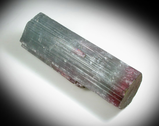 Elbaite Tourmaline from Pederneira Mine, Sao Jose da Safira, Minas Gerais, Brazil