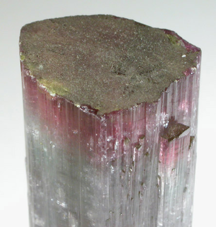 Elbaite Tourmaline from Pederneira Mine, Sao Jose da Safira, Minas Gerais, Brazil