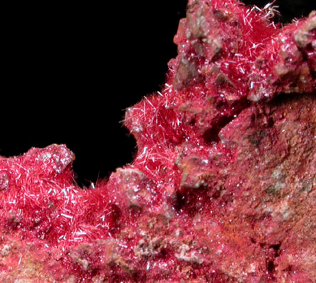 Copper with Cuprite var. Chalcotrichite from New Cornelia Mine, Ajo, Pima County, Arizona