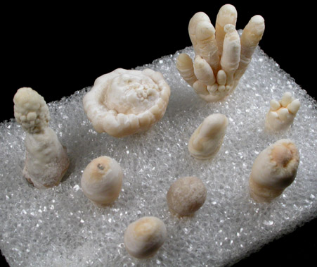 Calcite stalactites from cave encountered during highway construction near Flagstaff, Coconino County, Arizona