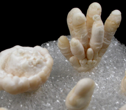 Calcite stalactites from cave encountered during highway construction near Flagstaff, Coconino County, Arizona