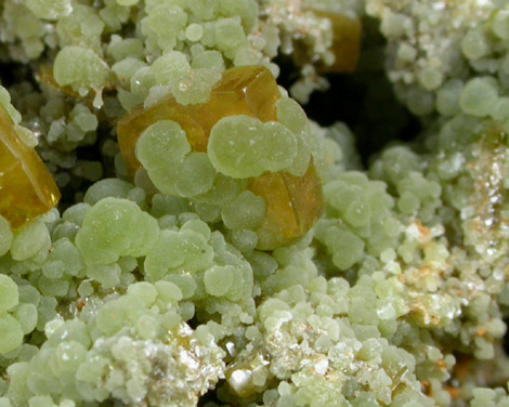 Mimetite with Wulfenite from Sierra de Los Lamentos, Chihuahua, Mexico