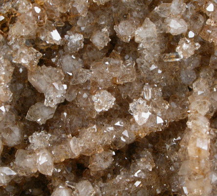 Quartz on Petrified Wood from Marion County, Alabama