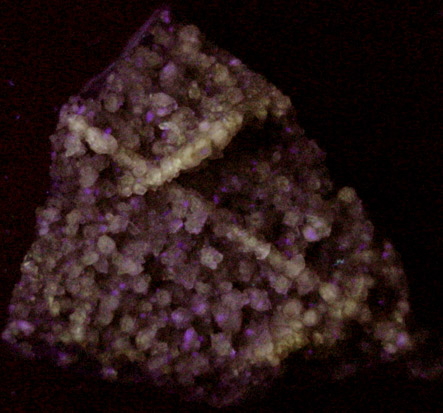 Quartz on Petrified Wood from Marion County, Alabama