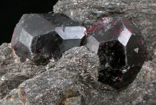 Almandine Garnet in schist from Garnet Ledge, east shore of Stikine River Delta, 11 km north of Wrangell, Alaska