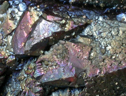 Sphalerite and Pyrite from Ballard Mine, Baxter Springs, Cherokee County, Kansas