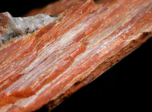 Sussexite and Zincite from Franklin Mining District, Sussex County, New Jersey (Type Locality for Sussexite and Zincite)