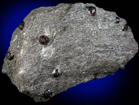 Almandine Garnet in schist from Bella Vista Claim, Mitkof Island, Alaska