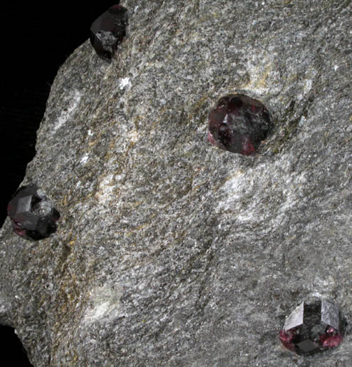 Almandine Garnet in schist from Bella Vista Claim, Mitkof Island, Alaska