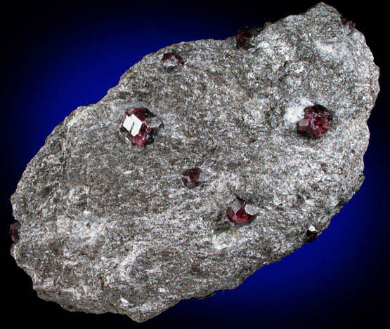 Almandine Garnet in schist from Bella Vista Claim, Mitkof Island, Alaska