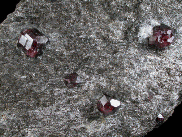Almandine Garnet in schist from Bella Vista Claim, Mitkof Island, Alaska