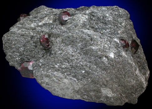 Almandine Garnet in schist from Bella Vista Claim, Mitkof Island, Alaska