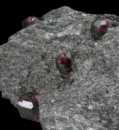 Almandine Garnet in schist from Bella Vista Claim, Mitkof Island, Alaska