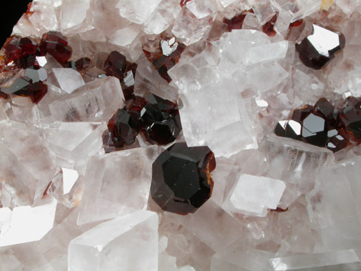 Uvite Tourmaline on Magnesite from Brumado District, Serra das guas, Bahia, Brazil