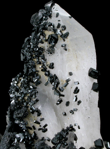 Ilvaite on Quartz from Dalnegorsk, Primorskiy Kray, Russia