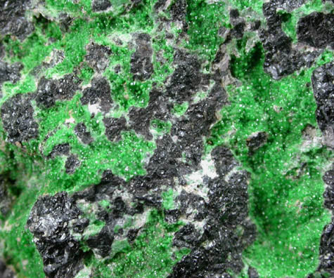 Uvarovite Garnet on Chromite from Ergani Maden, Diyarbakir, Turkey